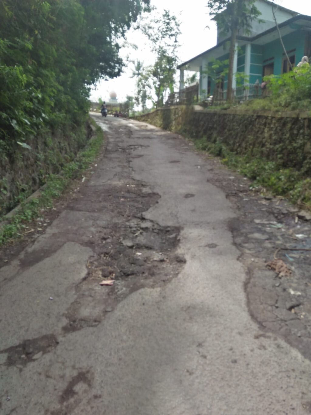 IMG-20250621-WA0040
