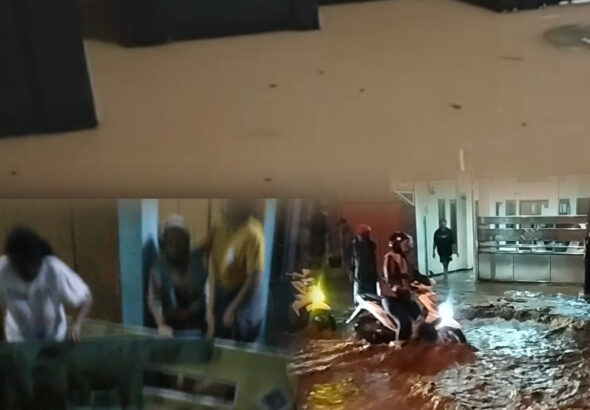 InShot_20260417_000759806