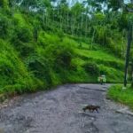 IMG-20260816-WA0034
